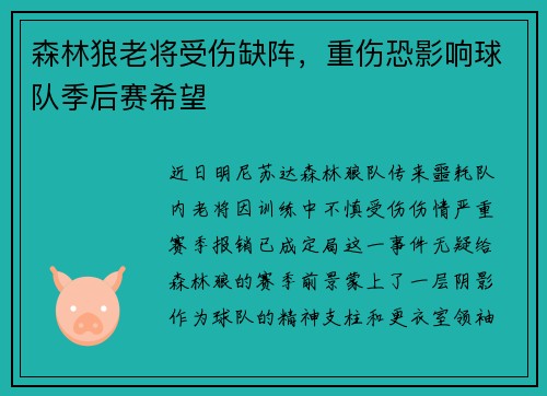 森林狼老将受伤缺阵，重伤恐影响球队季后赛希望